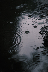 驟雨強波紋ノ絵