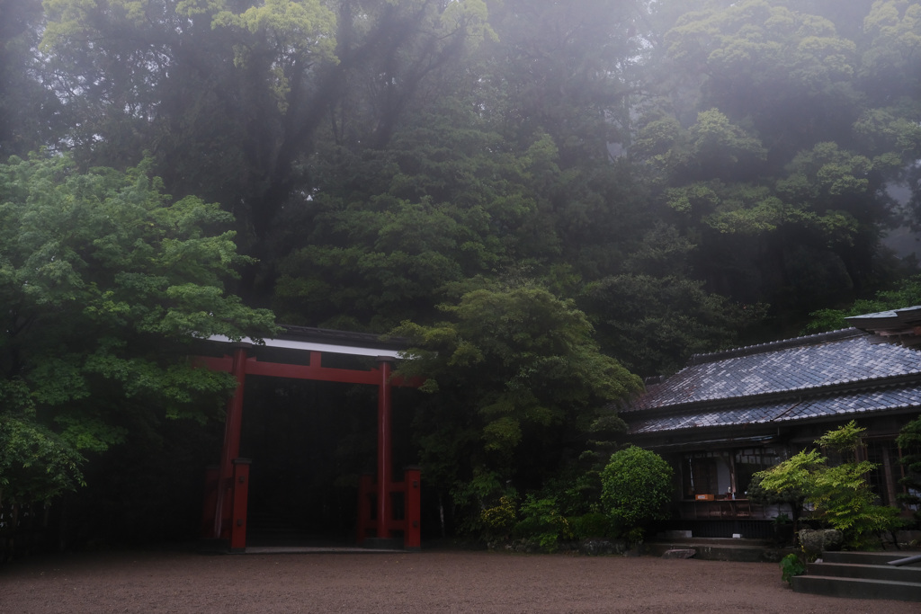 雨の霧島東神社