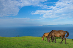 岬馬のいる風景 2