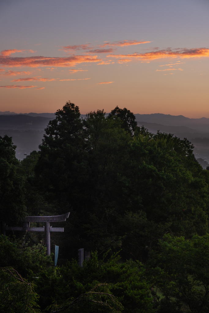 夜明けの鳥居