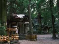 高千穂神社 境内 2