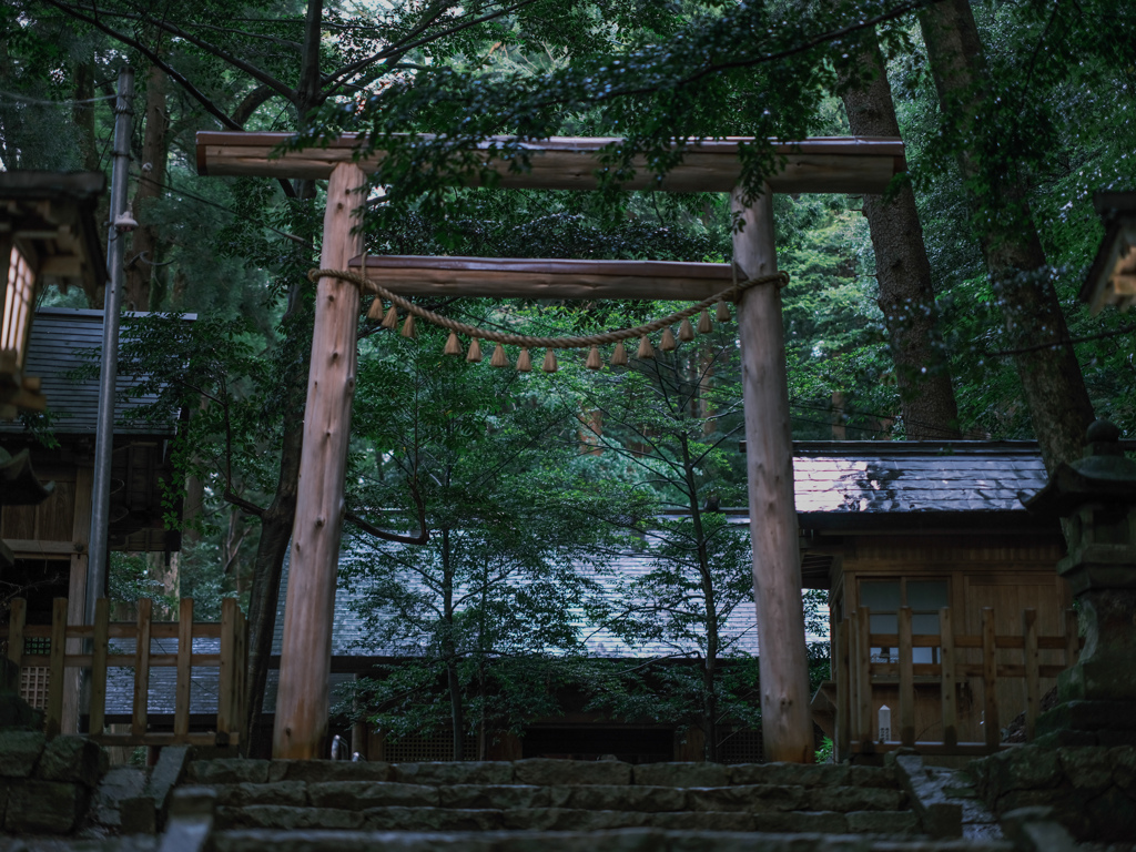 天岩戸神社 東本宮 鳥居