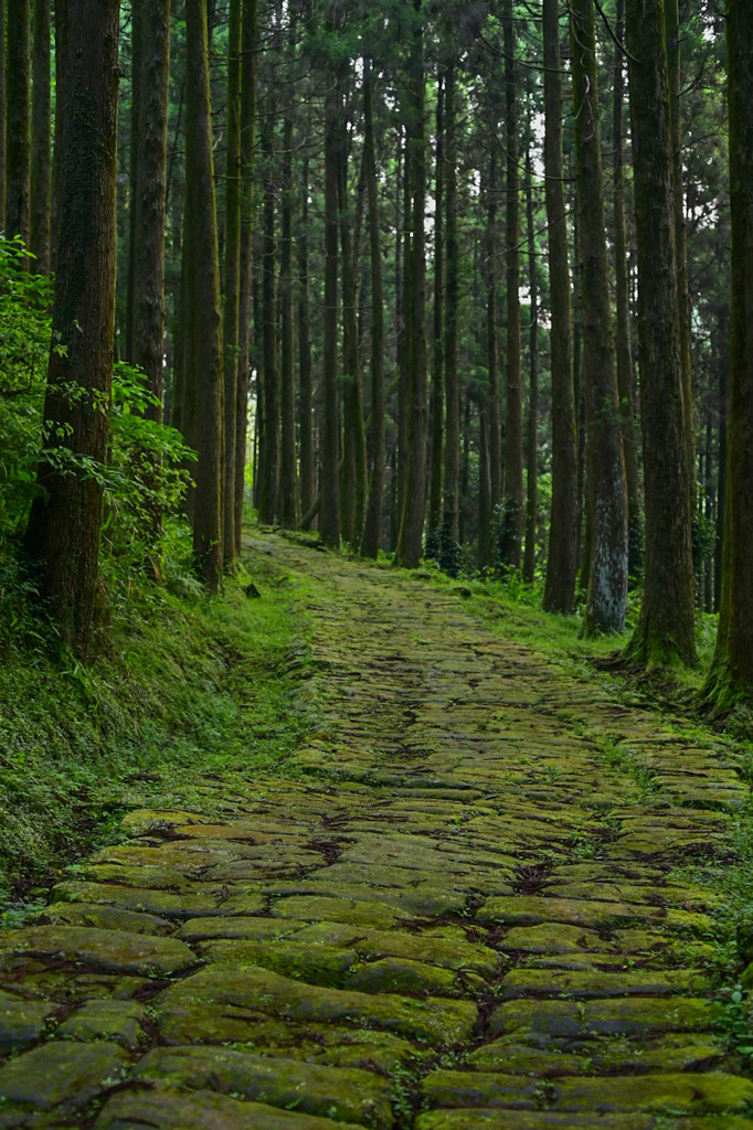 龍門司坂にて 2