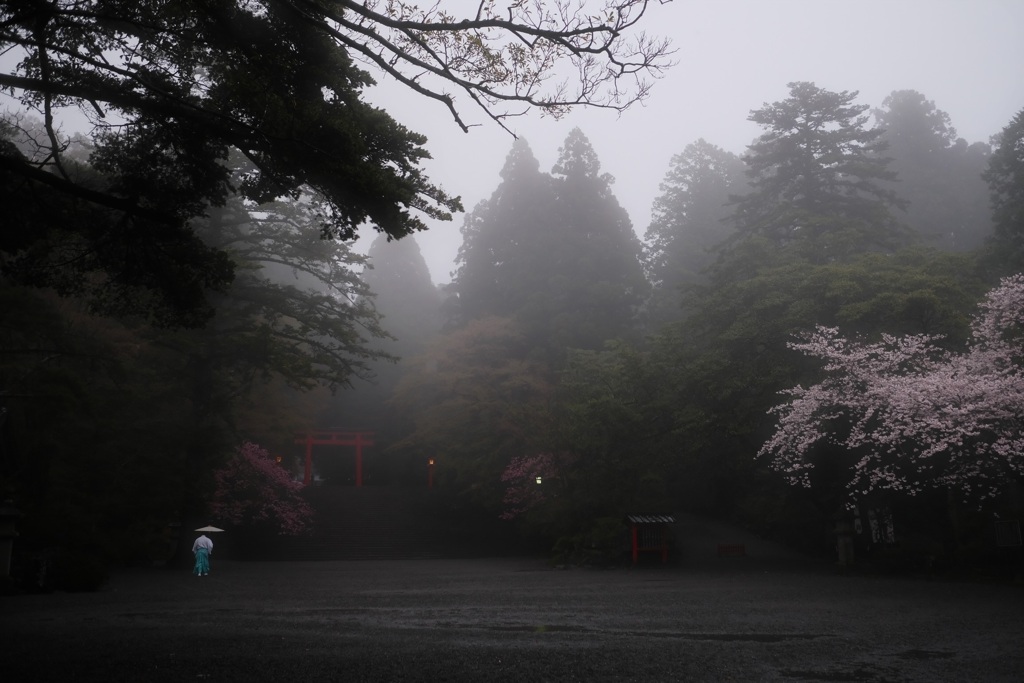 桜 朱 桃 水　色