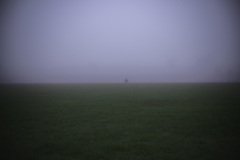 霧の中で見た景色 2