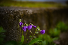 そこにあるのに、気づかぬ世界
