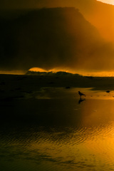 ダグリ岬にて 3