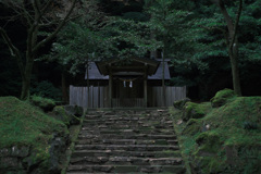 社