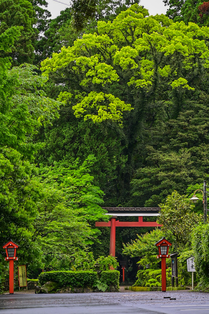 霧島東神社入口鳥居