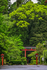 霧島東神社入口鳥居