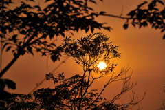 朝日 金御岳にて