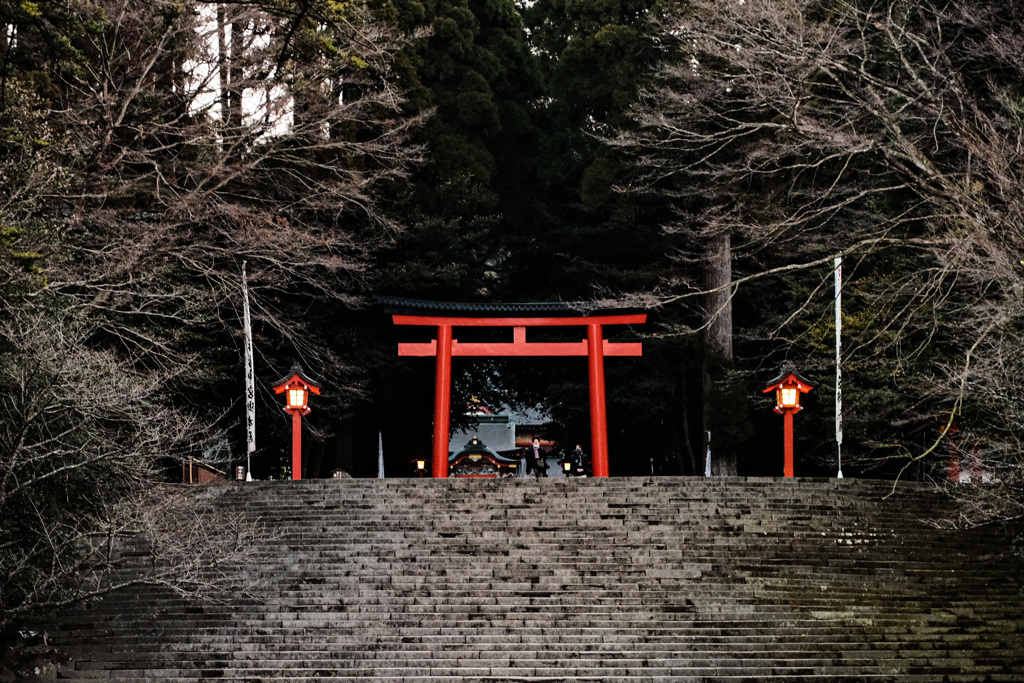 冬の霧島神宮