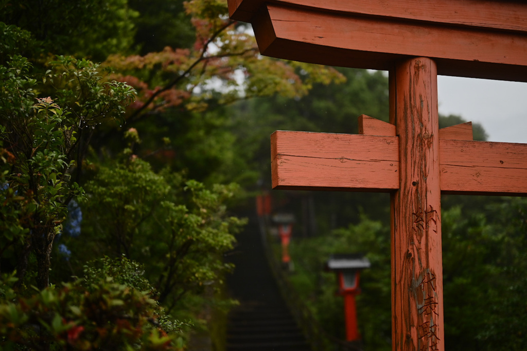 雨の参道 2
