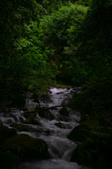 届き始めた朝光