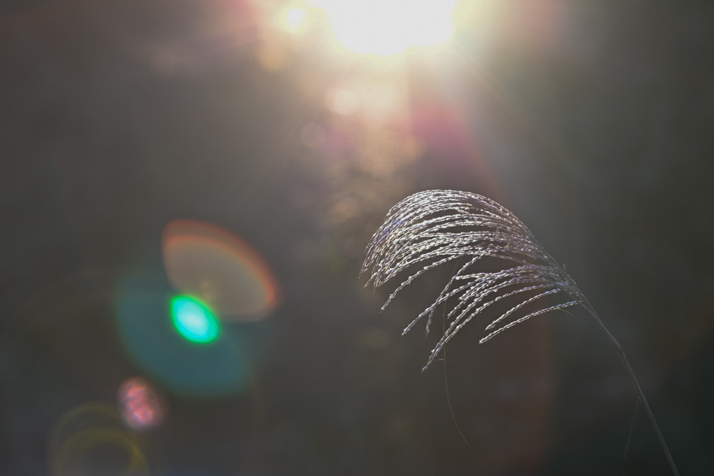 届き始めた朝日