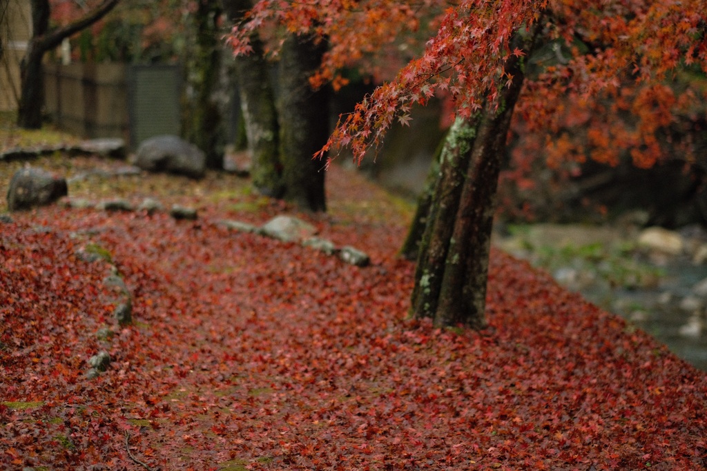 紅一色