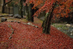 紅一色