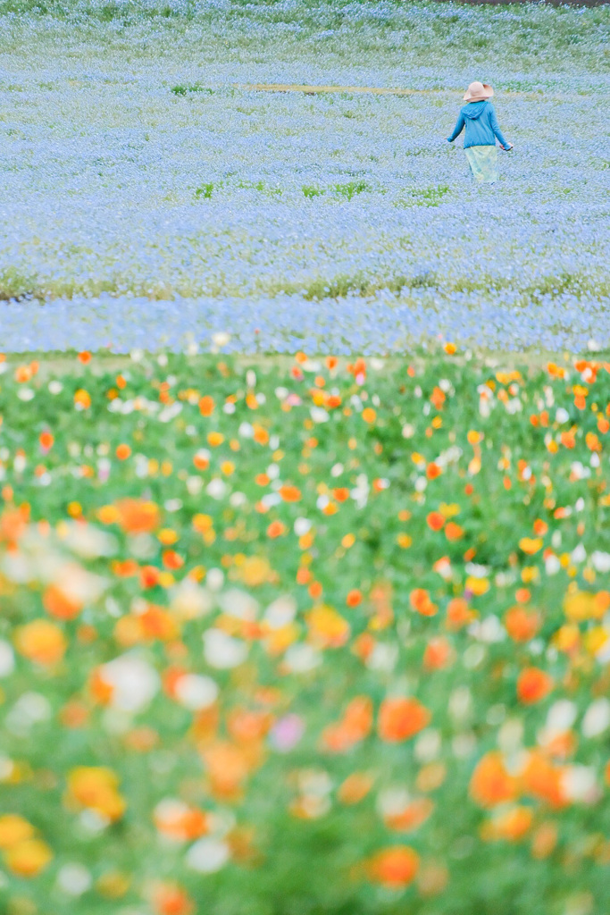お花畑でルンルン ♫