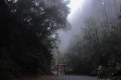 溝ノ口洞穴　雨の朝