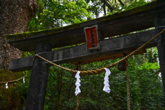 東霧島神社にて