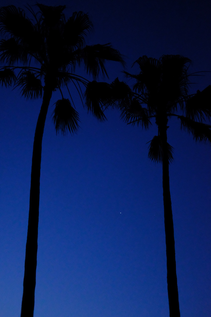夜明け待ちの間に