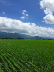 夏の訪れを感じた日の1枚