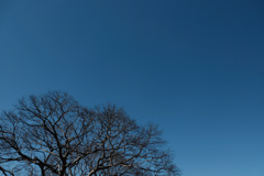 よく晴れた冬の空