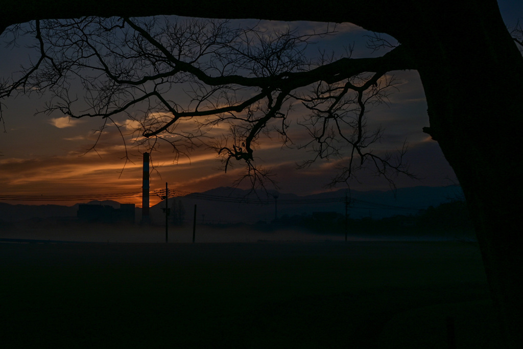 いつもと違う日常風景 2