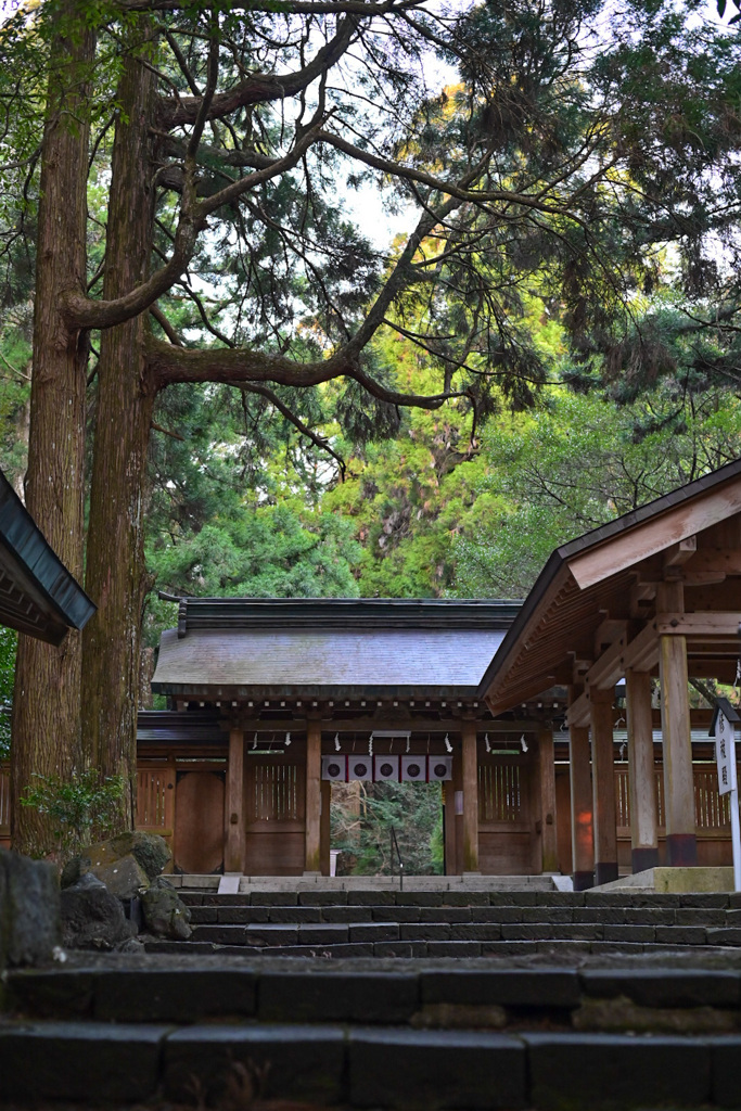 狭野神社にて