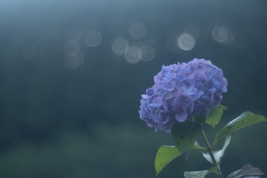 しっとりの朝5時