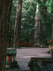 高千穂神社 境内 1