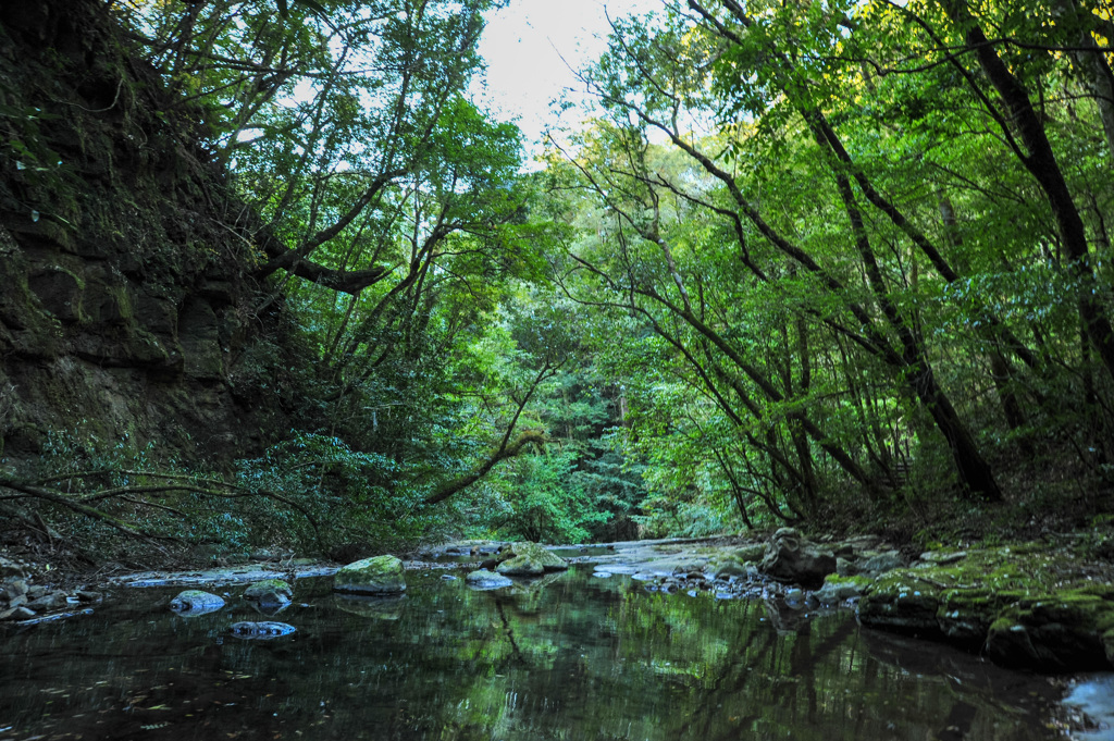 猪八重渓谷にて