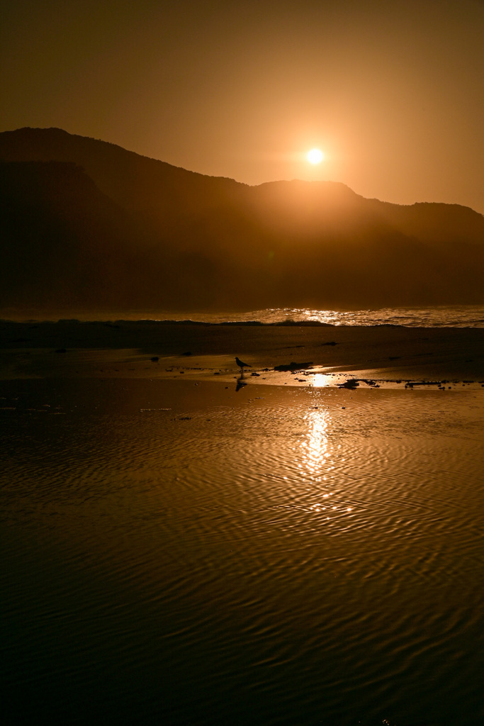 ダグリ岬にて 2