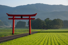 えびの 菅原神社