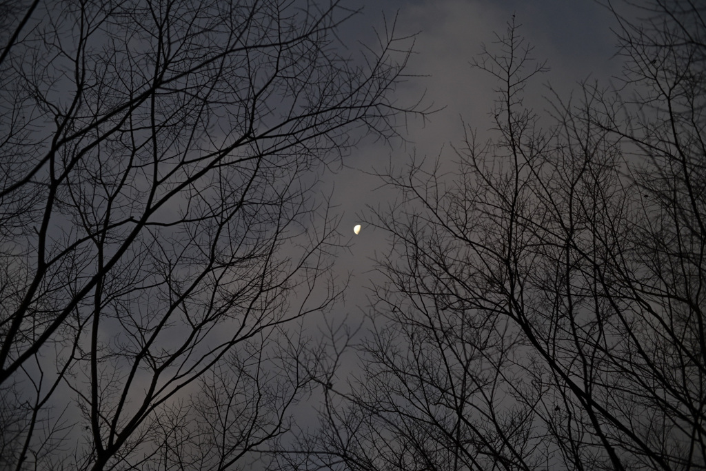 ある冬の空