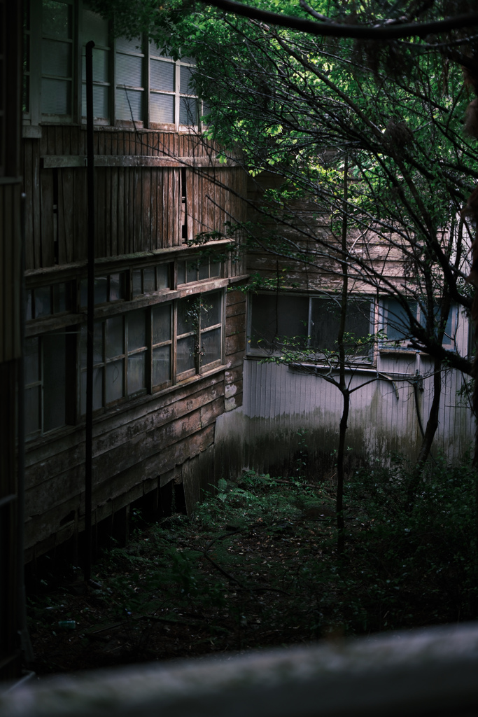 廃屋