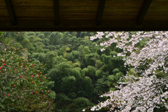桐原の滝 公園にて