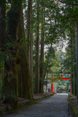 狭野神社にて 3