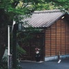 私の早朝スナップ 5