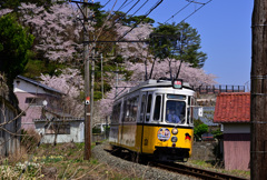 福井鉄道 レトラム 8