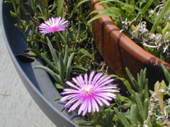 DSCN0003