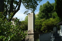 DSCF0232