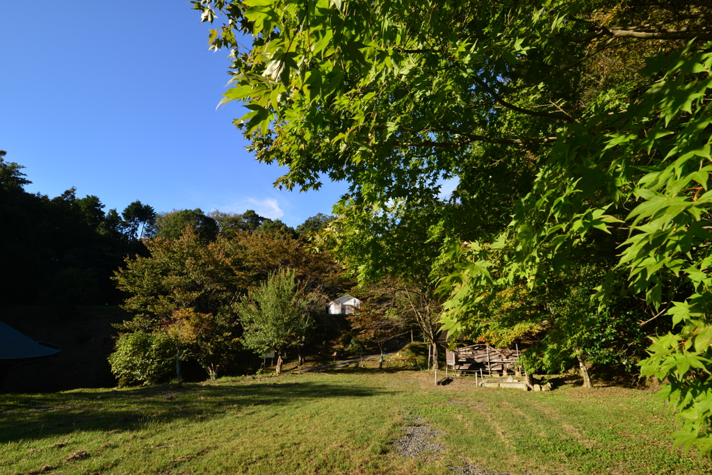 DSC_4282