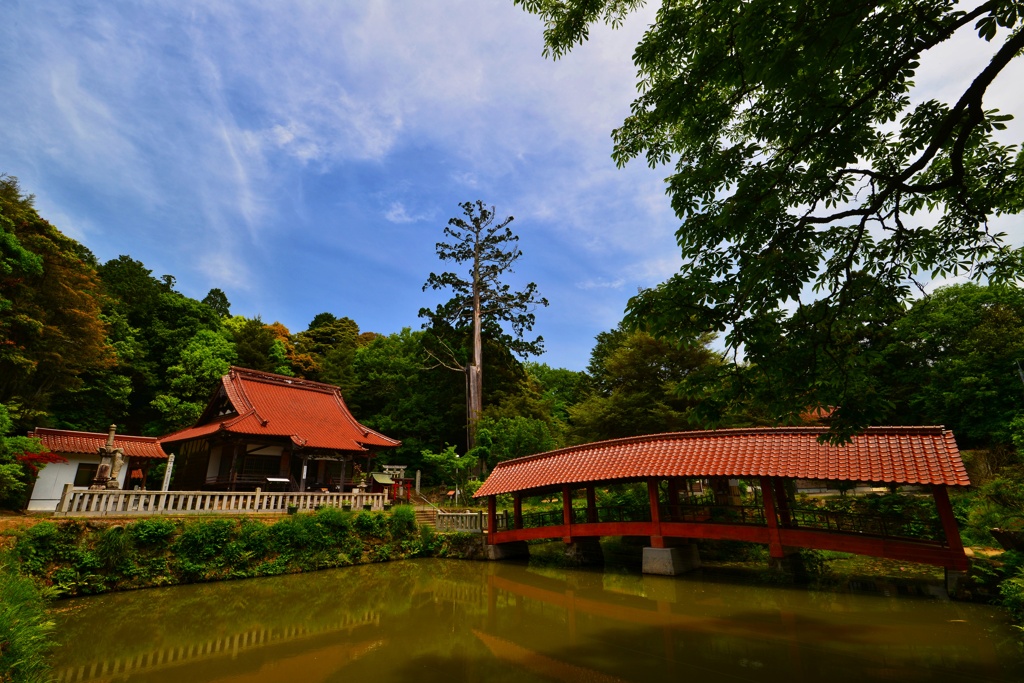 DSC_3569-01
