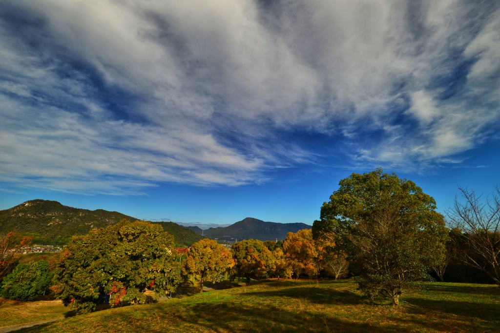 DSC_4680-01