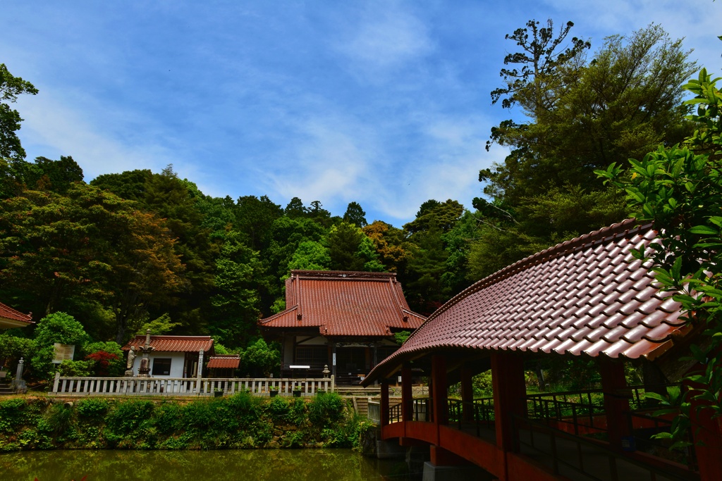 DSC_3604-01