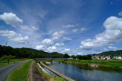 DSCF0555