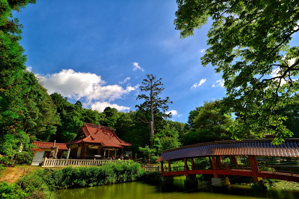 DSC_3677-01-01