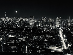 シブヤスカイ