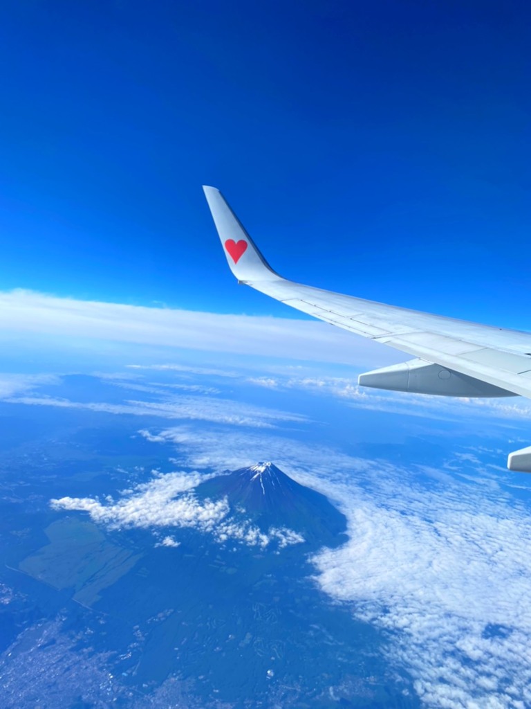 頑張れ！スカイマーク